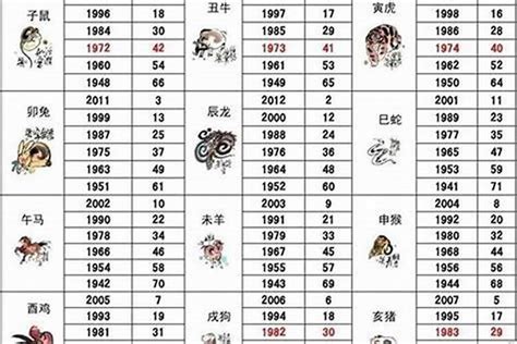 1971 猪 五行|1971年属什么生肖 1971年属什么生肖五行属什么